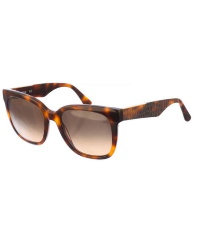 Lacoste Butterfly-Shaped Acetate Sunglasses L970S - Brown