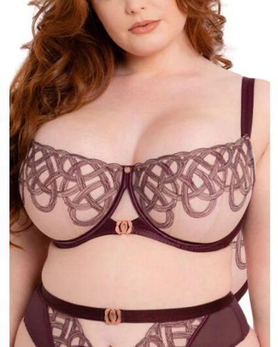 Curvy Kate Lovers Knot Balcony Bra - Pink