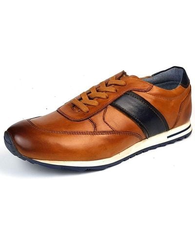 Catesby Leather Lace Up Fashion Trainers Trainers - Brown
