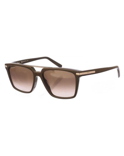 Ferragamo Square Shaped Acetate Sunglasses Sf1037S - Natural