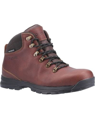 Cotswold Kingsway Lace Up Leather Hiking Boot () - Brown
