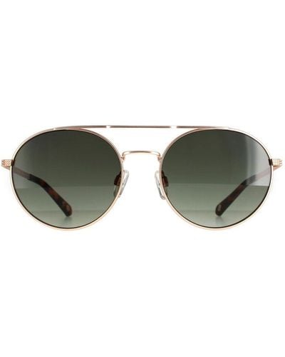Ted Baker Round Gunmetal Dark Gradient Tb1531 Warner Sunglasses - Green