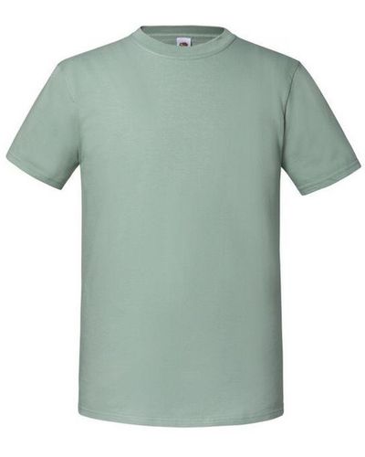 Fruit Of The Loom Iconic Premium Ringspun Cotton T-Shirt (Sage) - Green