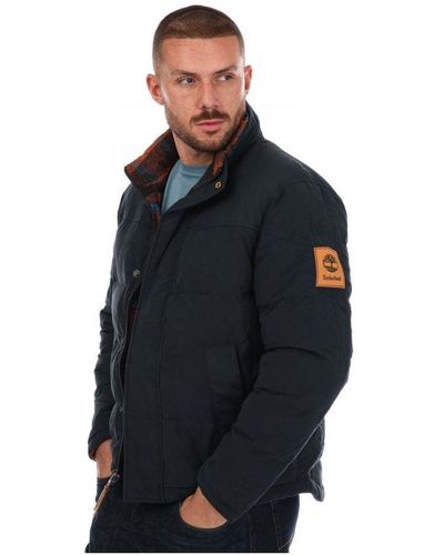 Timberland store uk jackets