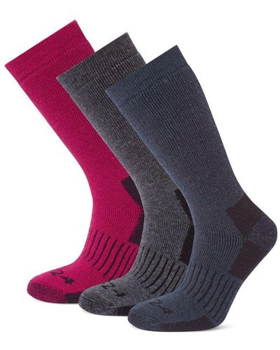 TOG24 Villach 3 Pack Trek Socks Dark Grey Marl/cerise/dark Indigo Wool - Blue