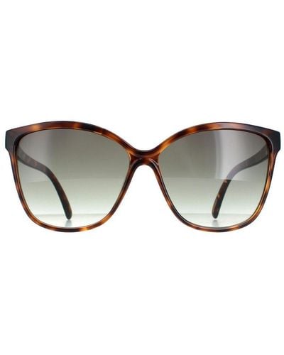 Ted Baker Sunglasses Tb1400 Kiara 122 Tortoiseshell Gradient - Brown