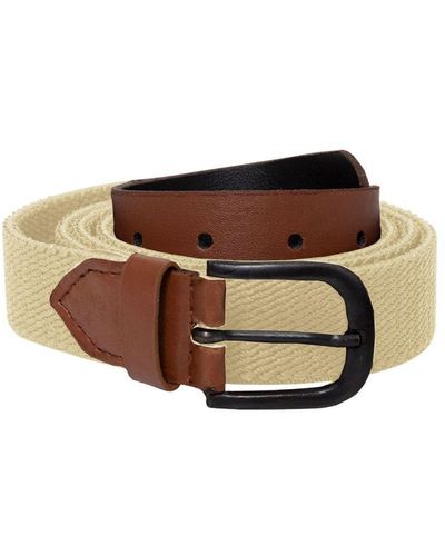 Enzo Accessories Belt - Brown
