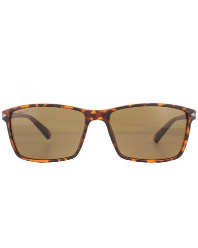 Montana Sunglasses Mp51 D Turtle Rubbertouch Polarized - Brown
