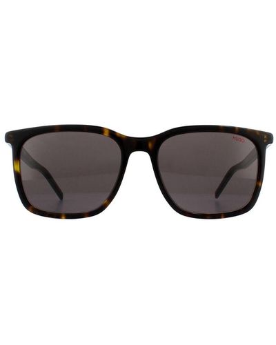 BOSS Hugo Boss By Square Havana Sunglasses - Black