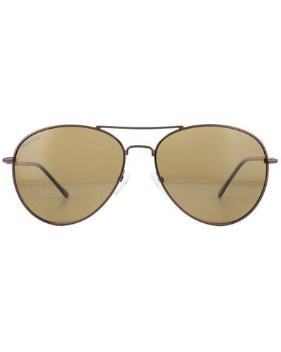 Montana Sunglasses Mp95 B Bronze Flex Polarized Metal - Brown