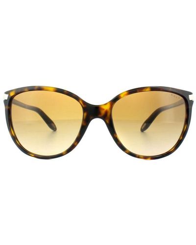 Ralph Lauren By Cat Eye Dark Tortoise Gradient Sunglasses - Brown