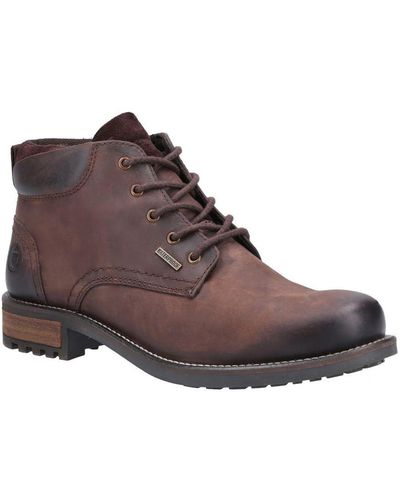 Cotswold Woodmancote Leather Combat Boots - Brown