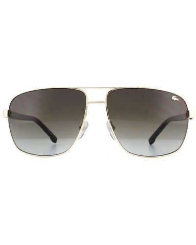 Lacoste Aviator Gradient Sunglasses Metal - Grey