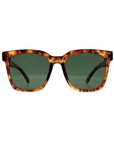 Montana Sunglasses Mp72 D Shiny Havana Soft Demi Polarized - Green