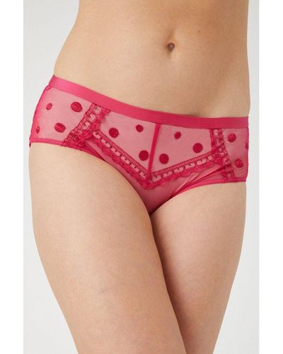 Gorgeous Spot Embroidery Midi Knicker - Red