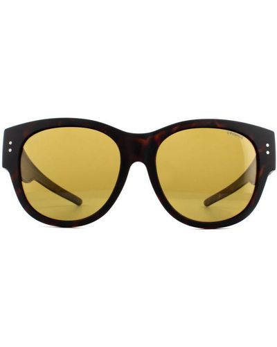 Polaroid Suncovers Rectangle Matte Havana Polarized Sunglasses - Brown