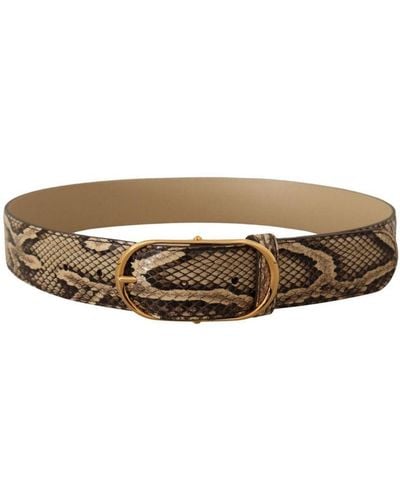 Dolce & Gabbana Phyton Snake Skin Belt With Gold Oval Buckle Leather - Brown