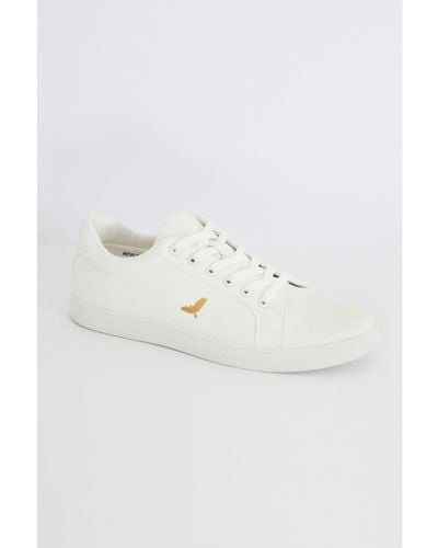 Brave Soul White 'kite' Canvas Lace Up Trainers - Blue