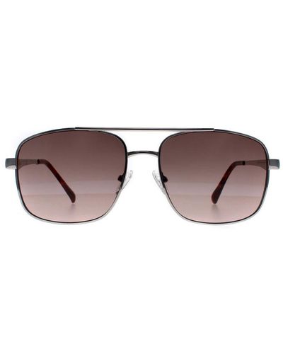 Montana Sunglasses Mp72 Shiny Polarized - Brown