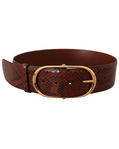 Dolce & Gabbana Gorgeous Phyton Snake Skin Belt With Oval Buckle - Brown