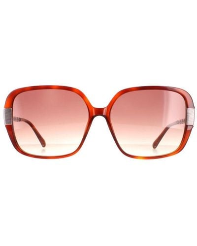 Ted Baker Square Tortoise Gradient Tb1616 Indi - Brown