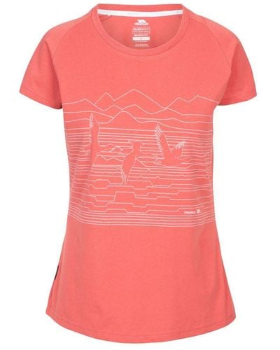 Trespass Dunebug T-shirt (rabarber Rood) - Roze