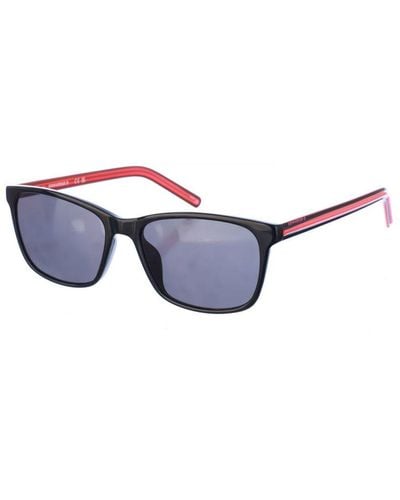 Converse Sunglasses Cv506S - Grey