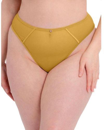 Curvy Kate St011212 Scantilly By Exposed High Waisted Thong Cotton - Yellow