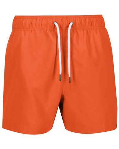 Regatta Mawson Ii Swim Shorts - Orange