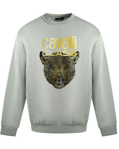 Roberto Cavalli Class Leopard Print Logo Jumper - Grey