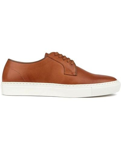 Ted Baker Kanten Shoes - Brown
