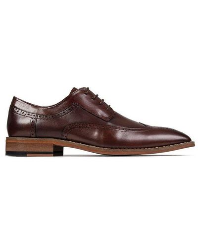 Sole Aster Brogue Shoes - Brown