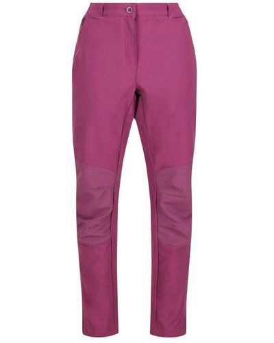 Regatta Ladies Questra Iv Stretch Hiking Trousers (Amaranth Haze) - Pink