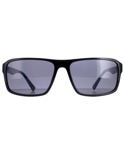 Duck and Cover Sunglasses Dcs024 C2 - Blue