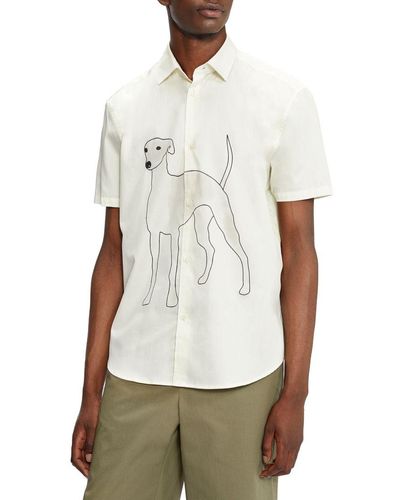 Ted Baker Botchey Mib Short-sleeved Greyhound Revere Shirt - White