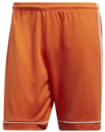 adidas Shorts Adidas Squad 17 - Oranje