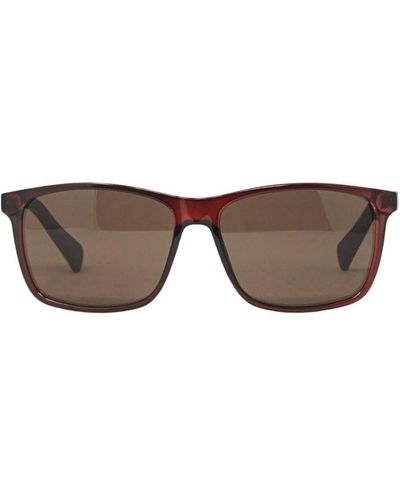 Calvin Klein Ck19568S 601 Sunglasses - Brown