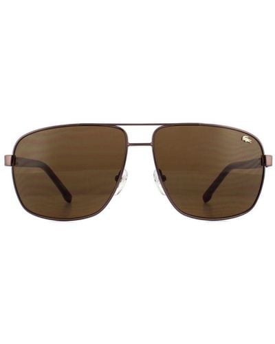 Lacoste Sunglasses L162S 210 Gradient Metal (Archived) - Brown