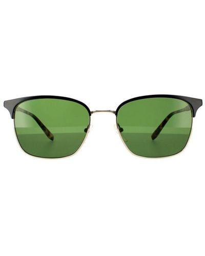 Ferragamo Square With Shiny Tortoise Sunglasses - Green
