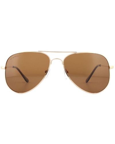 Montana Sunglasses Mp94 B Matte Polarized Metal - Brown