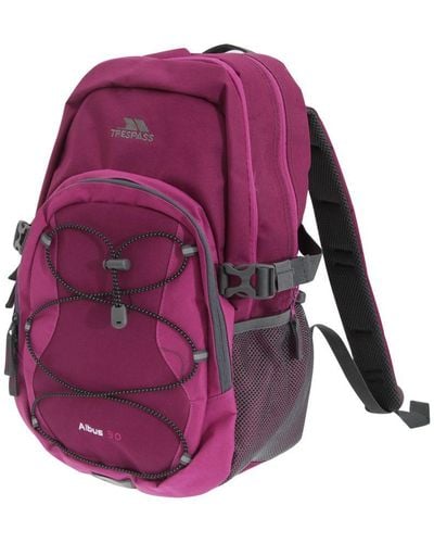 Trespass Albus 30 Litre Casual Rucksack/Backpack - Purple