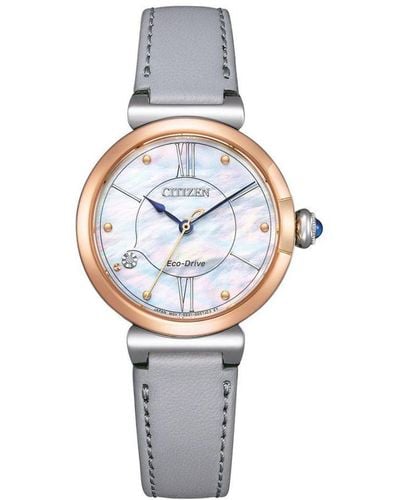 Citizen Watch Em1074-15D Leather (Archived) - Metallic