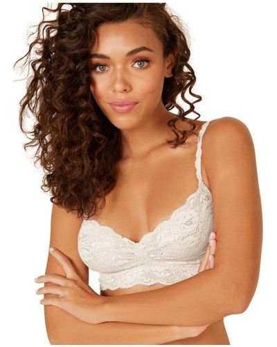 Cosabella Never1372 Never Say Padded Sweetie Bra - Brown