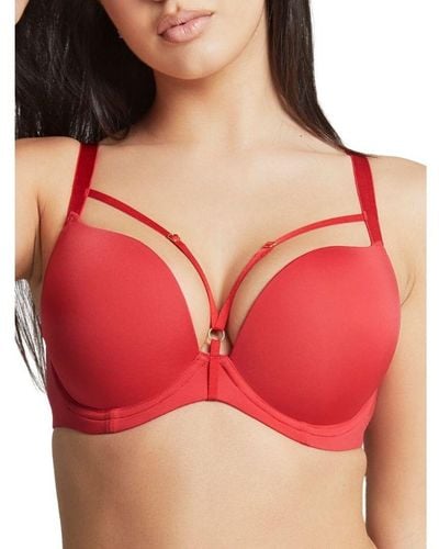Panache Faith Amour Moulded Plunge Bra Polyamide - Red