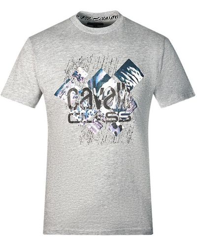 Class Roberto Cavalli Diamond Window Of Tiger Design Grey T-shirt