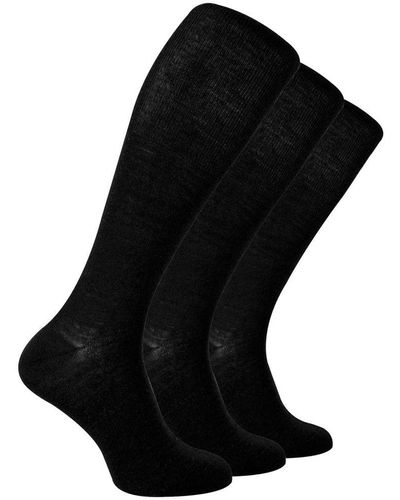 Steve Madden 3 Pairs Multipack Knee High Merino Wool Socks - Black