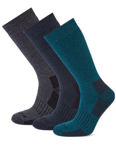 TOG24 Villach 3 Pack Trek Socks Dark Grey Marl/lagoon Blue/dark Indigo Wool