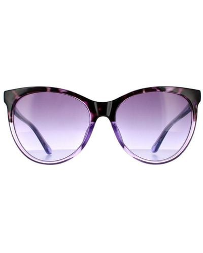 Guess Cat Eye Havana Gradient Sunglasses - Purple