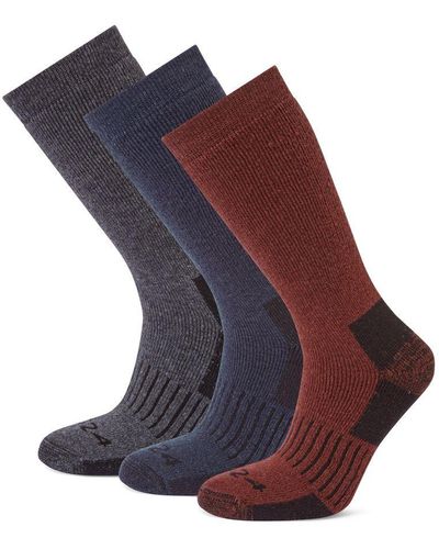 TOG24 Villach 3 Pack Trek Socks Dark Grey Marl/port/dark Indigo Wool - Blue