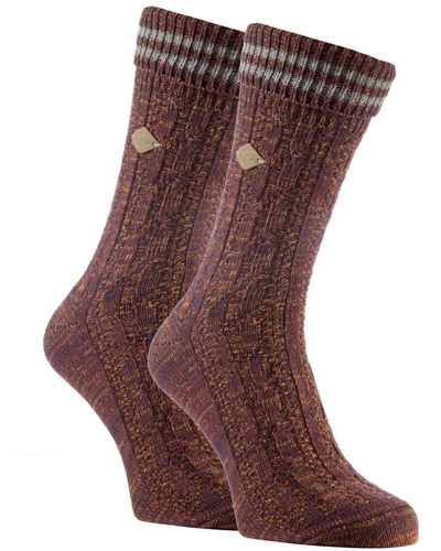 Farah 2 Pack Cable Knit Cotton Boot Dress Socks With Turn Over Top - Brown